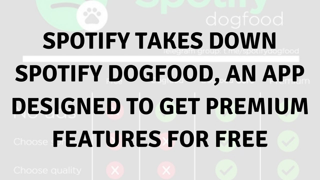 Spotify Dogfood APK 2024