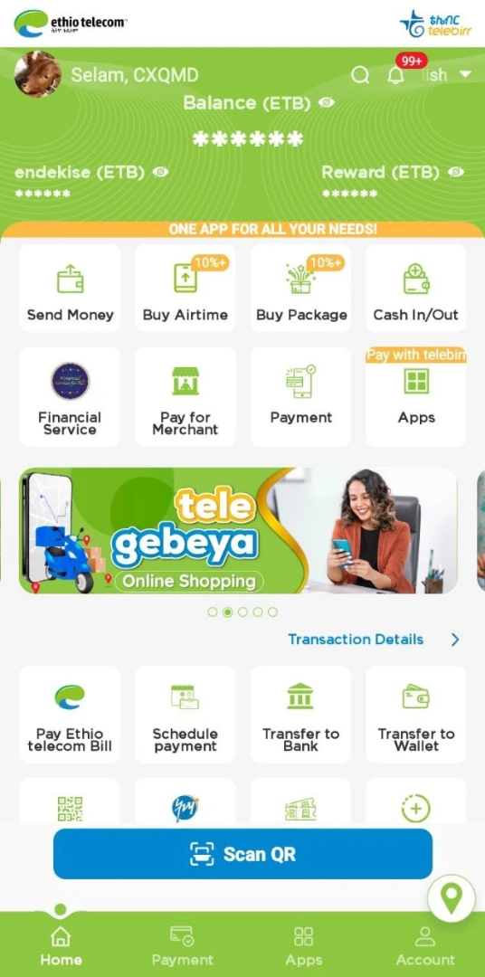 Telebirr Partner App