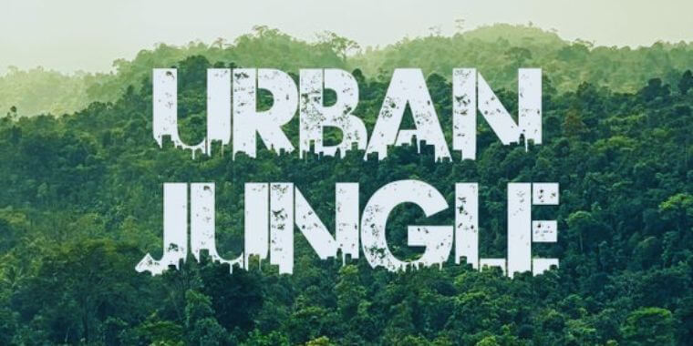 Urban Jungle Font App