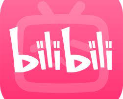 Download Bilibili Apk Latest V1 13 2 Voor Android