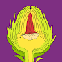 Comé+Plantas Apk [Come Mas Plantas App] APK