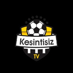 Kesintisiz TV APK [Turkish TV] icon