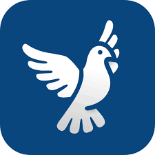 ByeDPI APK icon