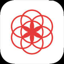 Clue Period Tracker APP APK