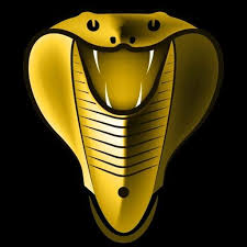 Cobra IPTV Player APK icon
