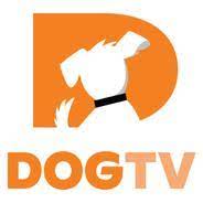 Download Dog TV APK latest v7.702.1 for Android