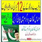Ehsaas Program Cnic Check Online icon