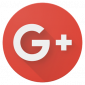 Google+ icon
