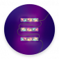 Peak – Brain Games & Training icon