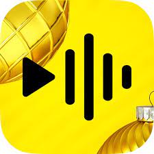 ReelsApp APK icon