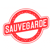 Sauvegarde APP APK icon