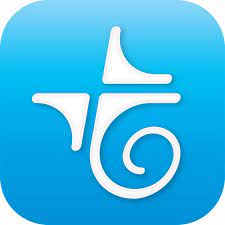 Telebirr App Download icon