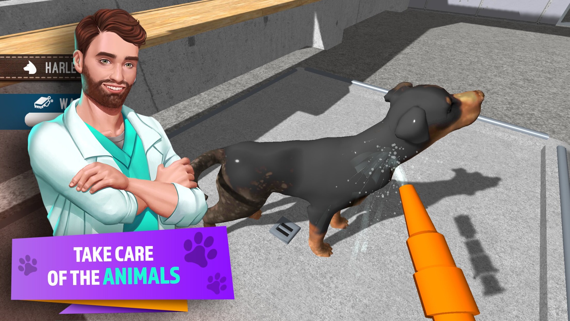 Animal Shelter Simulator App