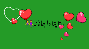 Pashto Green Screen App