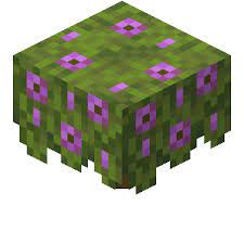1.71 About Minecraft Download Minercamp APK APK