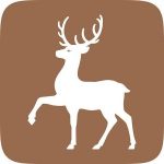 Card resident BUT APK APK