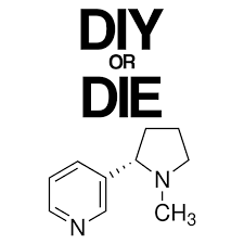 Diyordie Gaming Download APK