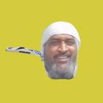 Flappy Dhoni APK APK