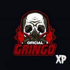 Gringo XP APK V43 APK