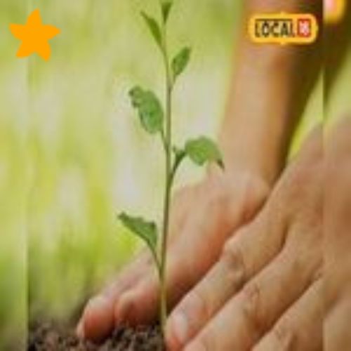 Hariyalo Rajasthan APP APK