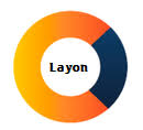 Layon Shop APK APK