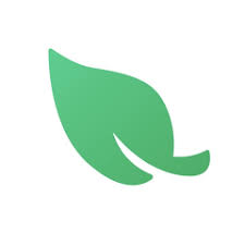 Leaf VPN APK APK