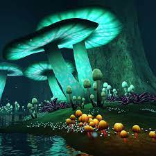 Magic Mushrooms APK APK