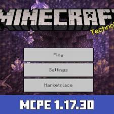 Minecraft 1.17.30 APK icon