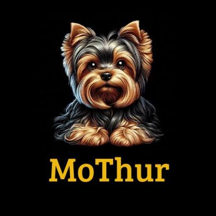 Mothur APK APK