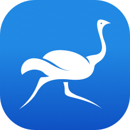Ostrich VPN APK APK