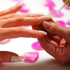 PeiQi Live Hot Show Apk APK