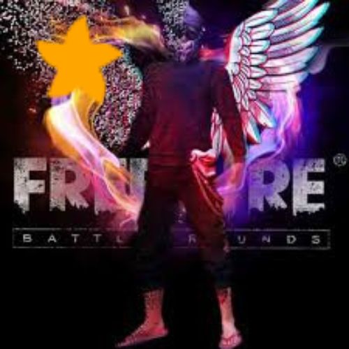 Raytomplo Free Fire APK APK