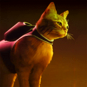 Stray APK APK