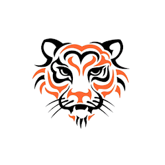 Tigon VPN APK APK